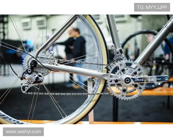 伐木工与堪萨斯成的对决探秘：传统技艺与现代科技的碰撞与融合